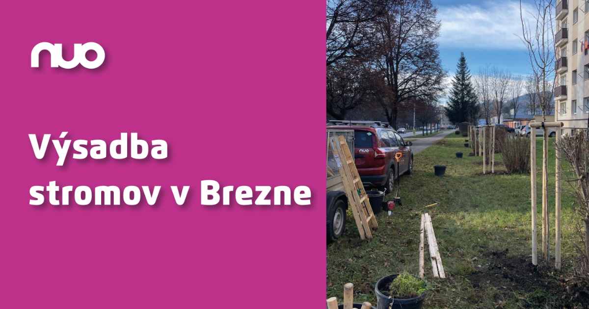 Staré stromy museli ísť dole, nové už rastú. O zeleň v meste sa staráme aj my.